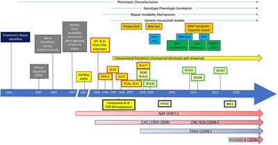 Frontiers Collaborative Efforts for Spinocerebellar Ataxia